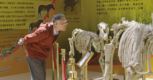 ��ϧ������Դ��2014����ʯ��չ