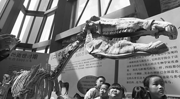 ��ϧ������Դ��2014����ʯ��չ