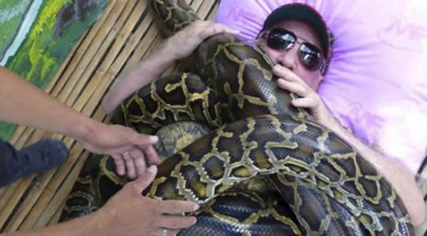 苏格兰男子靠4条巨蟒在身上蠕动治伤