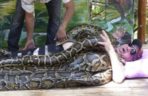 苏格兰男子靠4条巨蟒在身上蠕动治伤