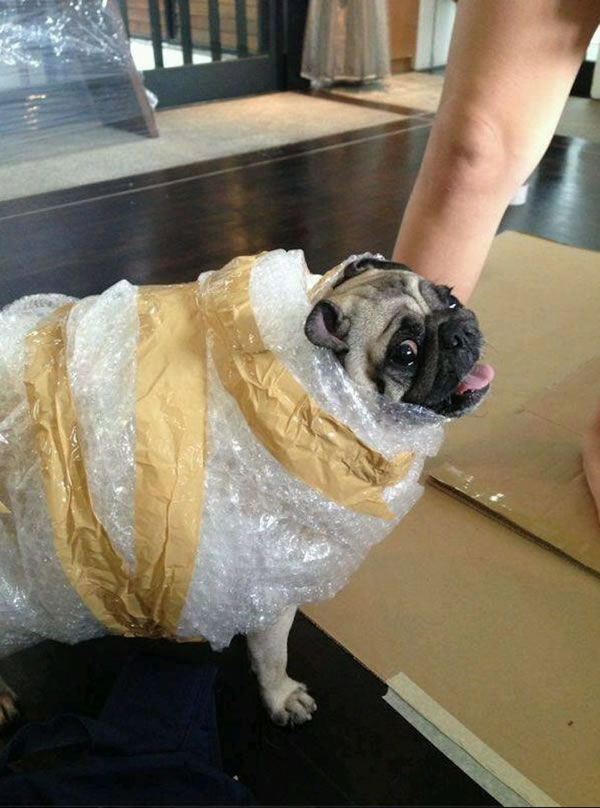 ���ȶ��ﱻ��Ҳ����