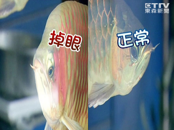 Ϊ���ü�Ǯ ���������ҲҪ����