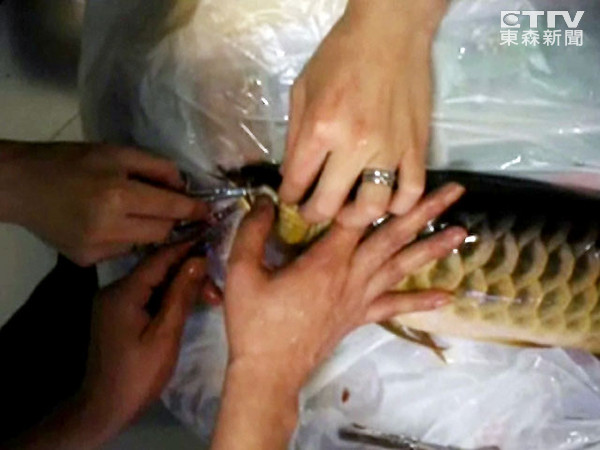 Ϊ���ü�Ǯ ���������ҲҪ����