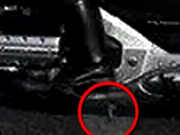 �������֣��絥���Ľ�̤�����£����ŵ�ʱ����������ʻ��