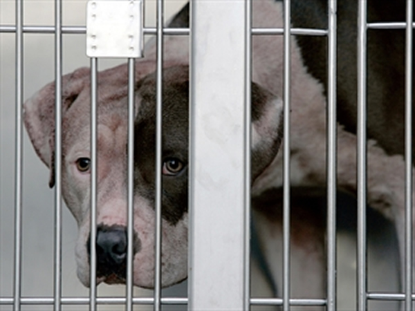 ϸŮţȮҧˡͼΪͬȮֻ