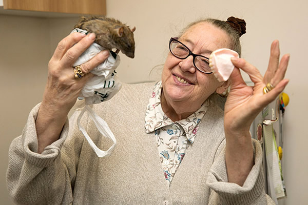 ��������º����ż�������������������