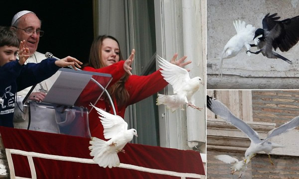 źƽʱӷֱѻŸСͼɱ