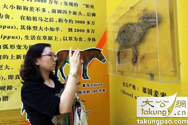 �ι�����������ڵ¹�����������ʯ