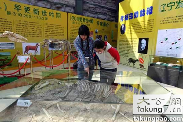 �ι����ڲι۲����й������ƽ����ֺ����ʯ