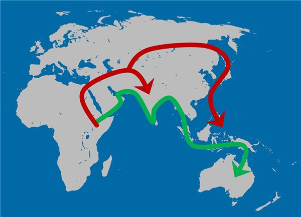 新研究表明现代人类曾不只一次走出非洲 13万年前首次走出
