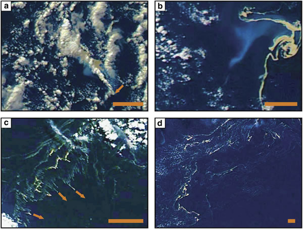 新研究预测海洋浮岩漂流方向
