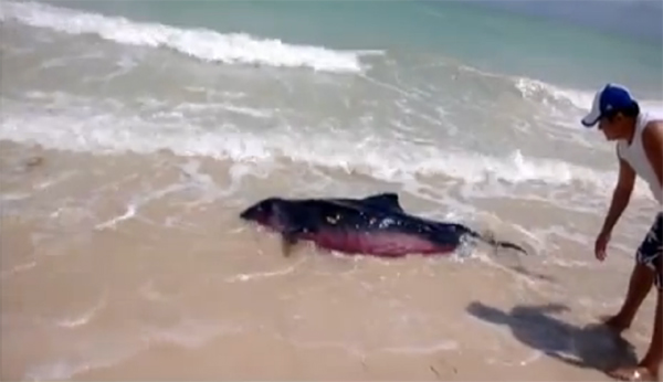 īȿ̹ɳ̲οͰǳػش