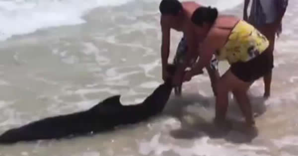 īȿ̹ɳ̲οͰǳػش