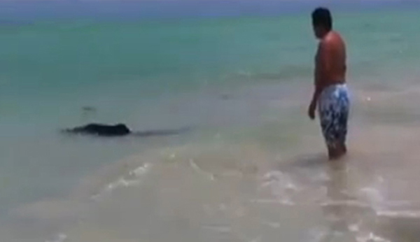 īȿ̹ɳ̲οͰǳػش