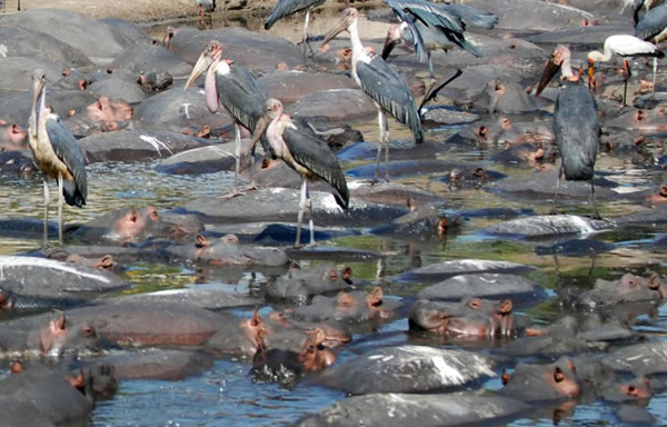 ̹ɣ���ǵĿ�ά�����ҹ�԰��ͷ�ش�5�ֵ����Ժ���չ�����Ҳ�ɱ