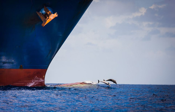 ��������ּ�װ����֡����ܡ�