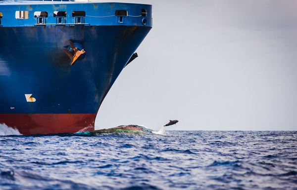 ��������ּ�װ����֡����ܡ�