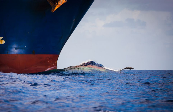 ��������ּ�װ����֡����ܡ�