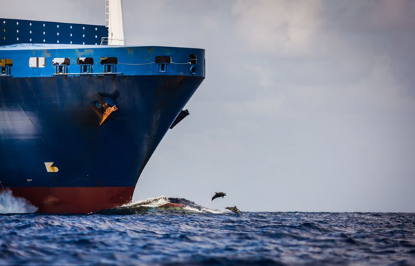 ��������ּ�װ����֡����ܡ�