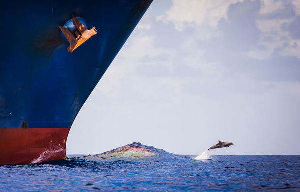 ��������ּ�װ����֡����ܡ�