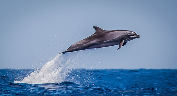 ��������ּ�װ����֡����ܡ�