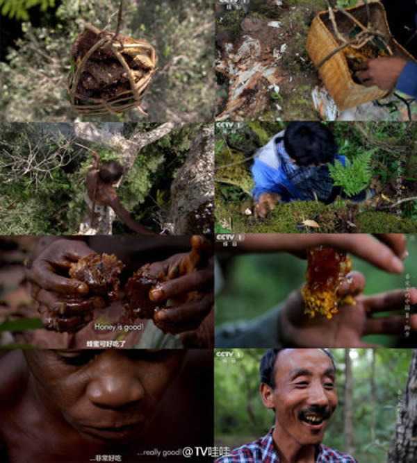 BBC��¼Ƭ�����У��롶���2�����پ�ͷ�Ƕ����ơ�