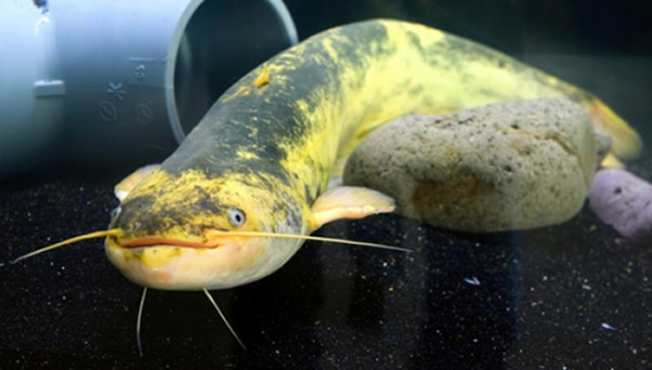 ���ƽ������б��֮��