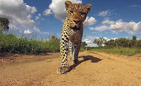 �Ϸ����ޱ��������Ϲ���Ա�����ڴ����е������