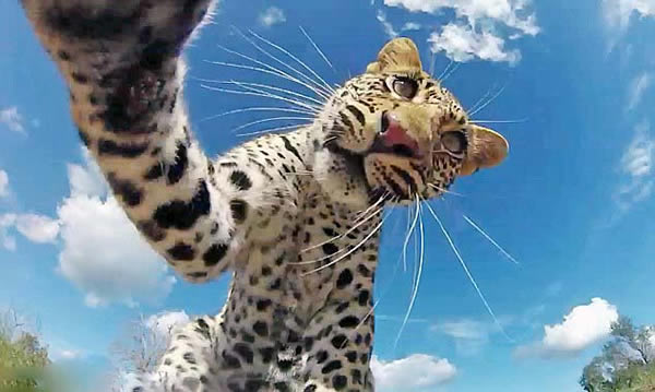 �Ϸ����ޱ��������Ϲ���Ա�����ڴ����е������