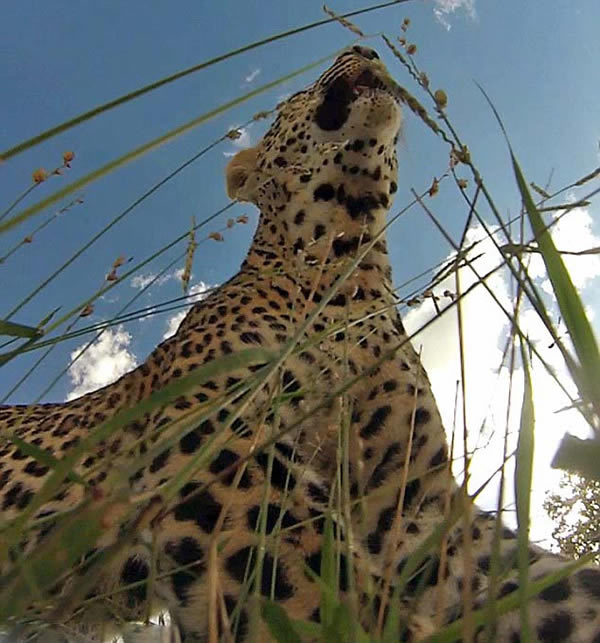 �Ϸ����ޱ��������Ϲ���Ա�����ڴ����е������