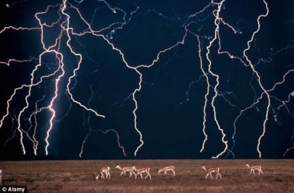 ���޵������������о���Ա�����������ͨ���������﷢�伤�⣬�����˹����꣬�����Ǹ���ָ������꽻�ӵĻ���