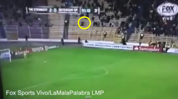 ����ά���������ת���������飿