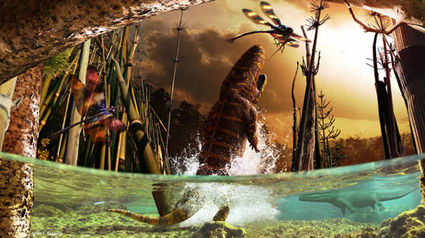 这是作者为冈瓦纳影视公司的巡回展“二叠纪怪物:恐龙以前的生命”创作的11幅墙画之一。图中,巨大的大脉蜻蜓(Meganeuropsis)抓着一只林蜥从水面附近飞过