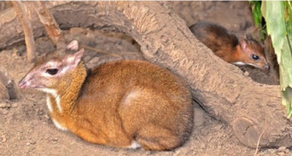 С��¹��ĸ��Ҳ�ڸö���԰����