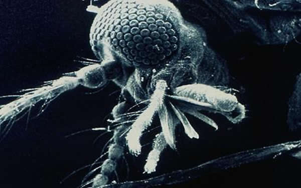 ����˹���ձ���ѧ���ڹ��ʿռ�վ���Խ������о�������������Ӱ��