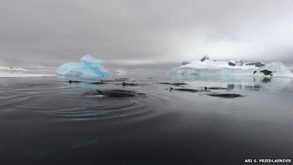 50年前听到的古怪噪音,直到现在科学家才发现它的真正来源。
