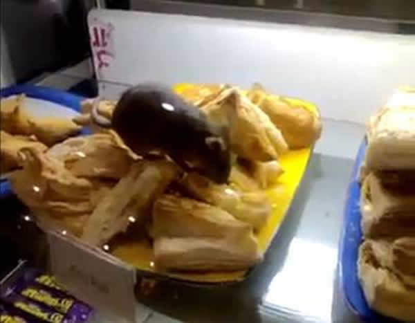 ӡ��������������������˿���