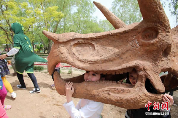 太原市动物园“恐龙学院”