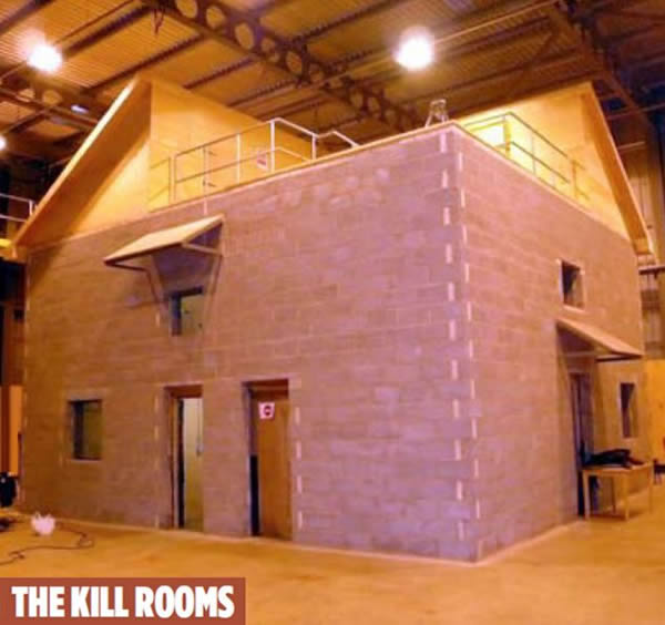 ����ָ���µر���ģ���ж��ص�����Ʒ���