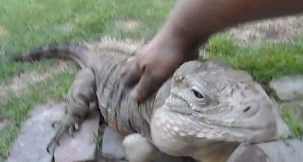 �������������v�������˺���