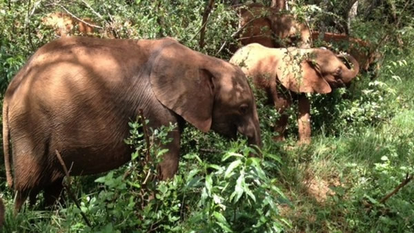 �����Ǵ���͵��������