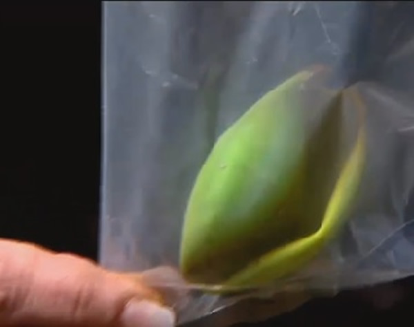 ҽ��Ϊ����ȡ�������µ�����