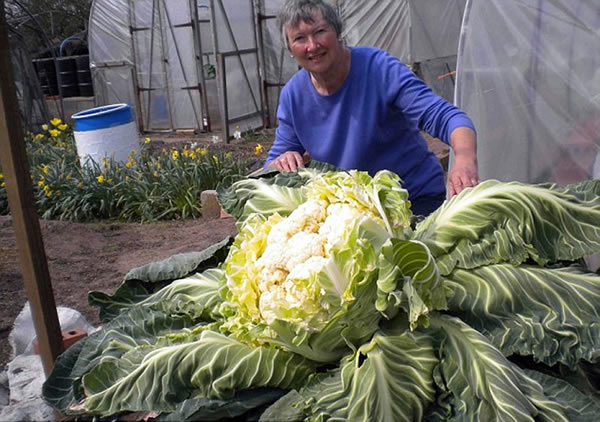 Ӣ��69�������ֳ�27�������������˻�