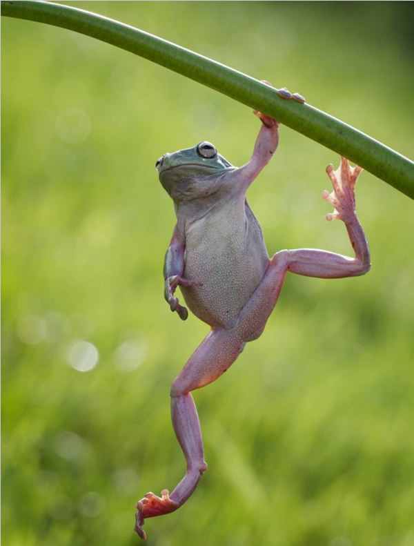 ӡӰʦ׽СܡĿɰһĻ