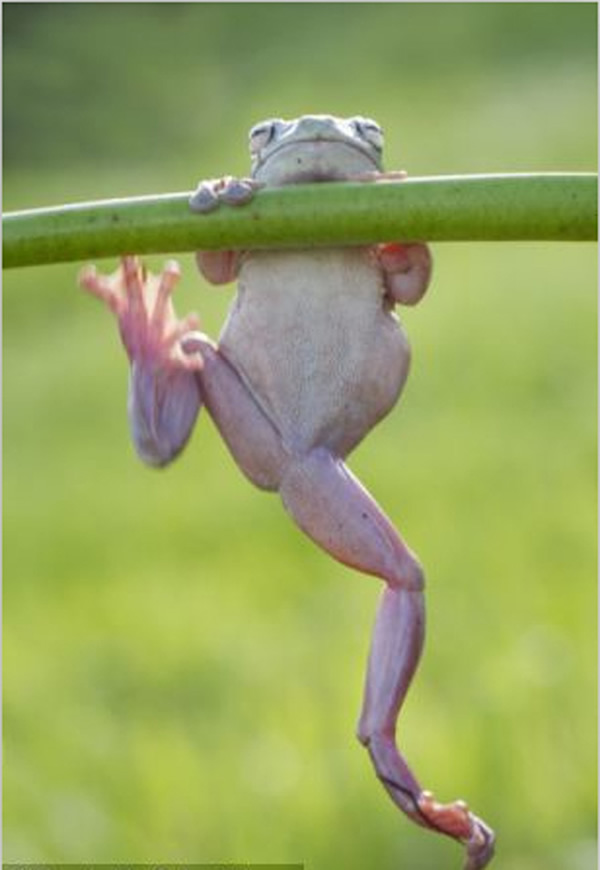 ӡӰʦ׽СܡĿɰһĻ