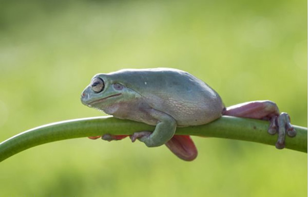 ӡӰʦ׽СܡĿɰһĻ