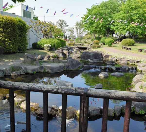 日本水族馆遭恶意撒盐致大量鱼类死亡