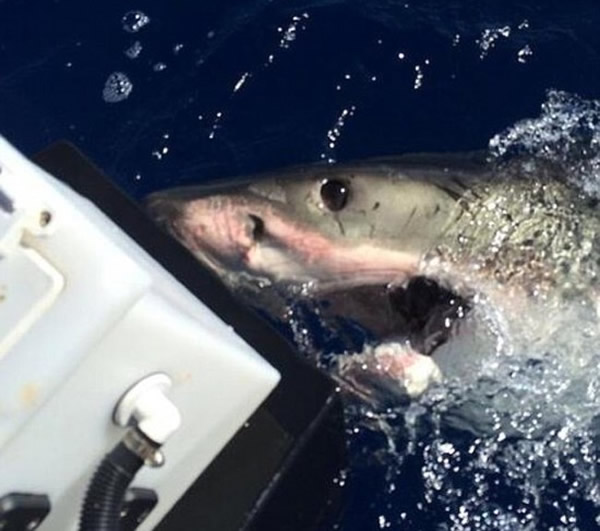 �������������5�׳�����������Сʱ��ʱ���ڲ�ͣ�����洬��Ȧ����ײ���洬��