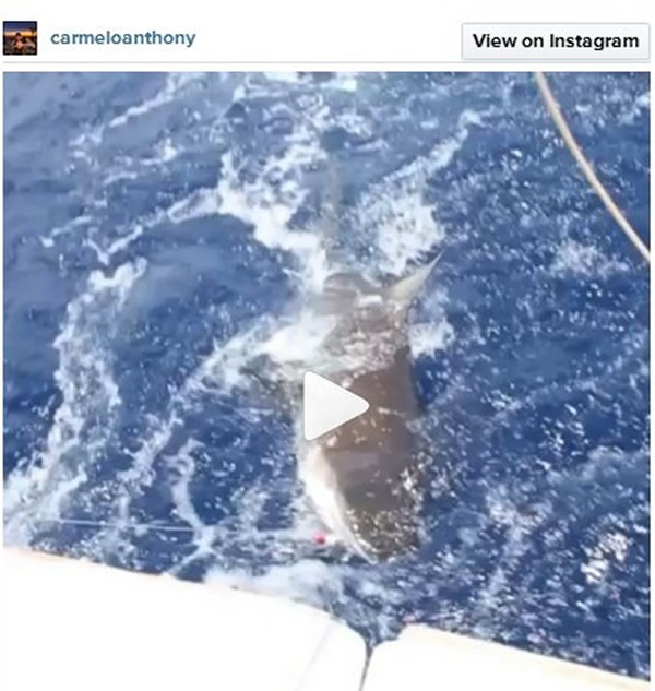 NBA球星安东尼钓到一条大白鲨