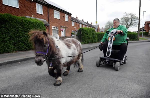 Ӣ��Ů����СĦ����С��